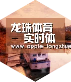 龙珠体育中德合璧 实力可鉴