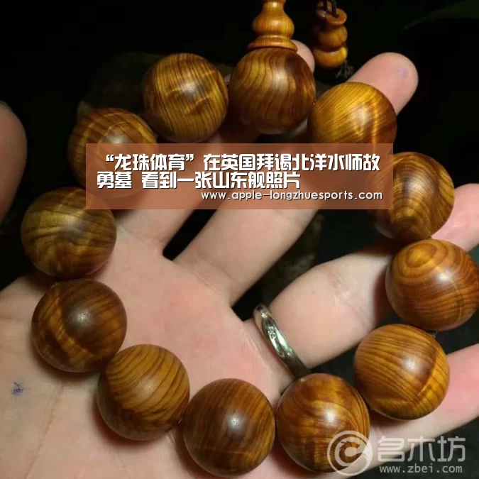 龙珠体育