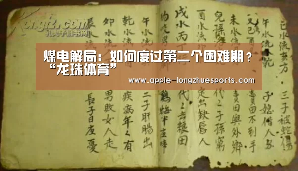 煤电解局：如何度过第二个困难期？“龙珠体育”
