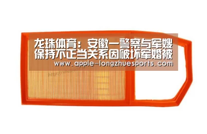 龙珠体育