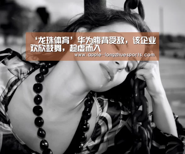 ‘龙珠体育’华为腹背受敌,该企业欢欣鼓舞,趁虚而入(图3) 龙珠体育