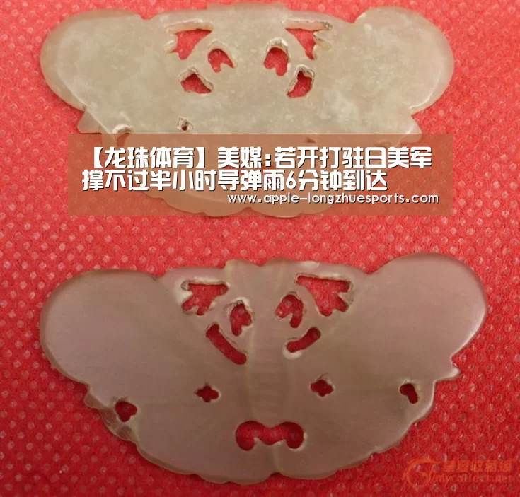 龙珠体育