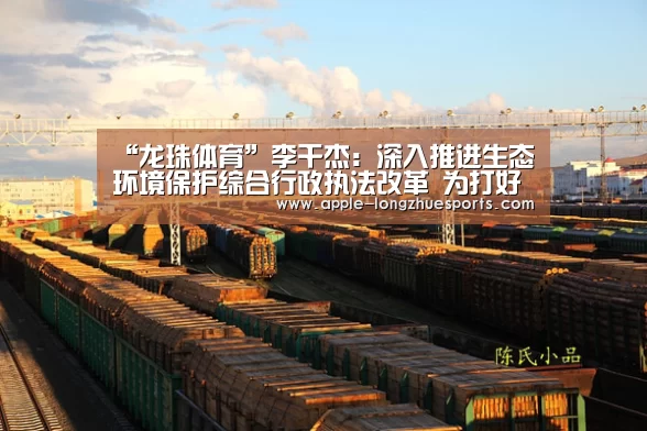 龙珠体育