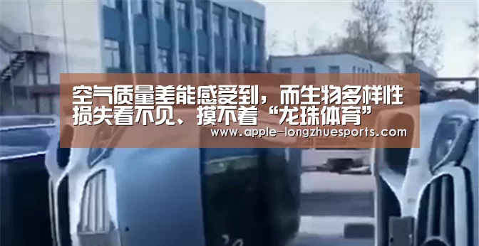 空气质量差能感受到，而生物多样性损失看不见、摸不着“龙珠体育”