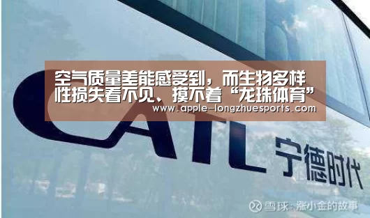 龙珠体育