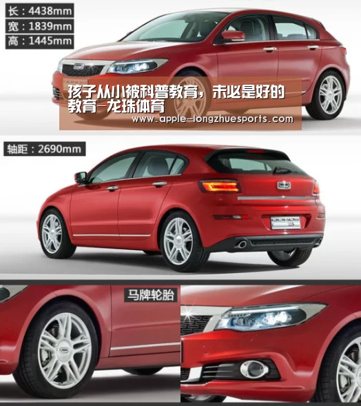 龙珠体育